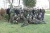 „Military Camp 2015” – manewry zimowe klas mundurowych  Liceum O ...